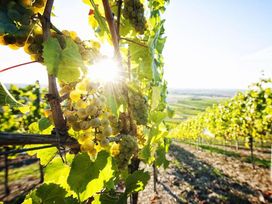 2 Tage im Vital Hotel An Der Therme in Bad Windsheim