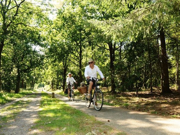 Niederlande: 6 Tage-Angebot Hansestadt Harderwijk auf der Veluwe