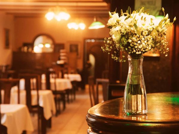 3 Tage Naturerlebnis Marienbad auf vier Pfoten in Marienbad (Mariánské Lázně), Karlsbad (Karlovarský kraj) inkl. Halbpension