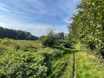 4 Tage Waldgenuss & Ruhe pur im Herzen der Achterhoek