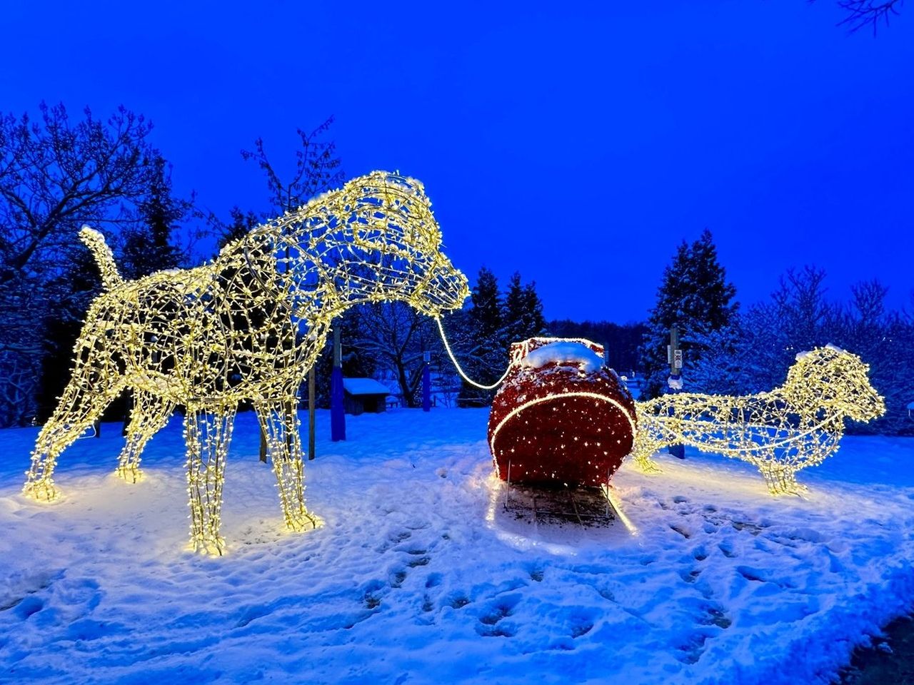 3 Tage Weihnachtsferien im Lichterzauber