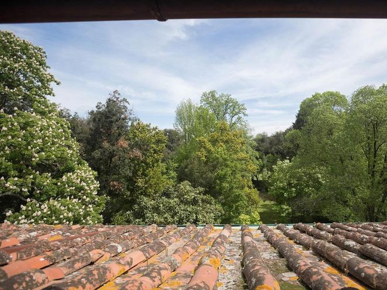 Italienische Eleganz - 4 Tage in Lucca mit Frühstück