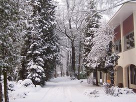 Ruhe und Natur - 2 Tage im Wald von Enschede