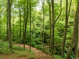 Westerwald: 3 Tage Wander-Special mit tägl. Dinner