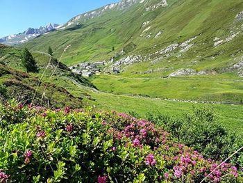 Das schöne Defereggental erkunden - 6 Tage