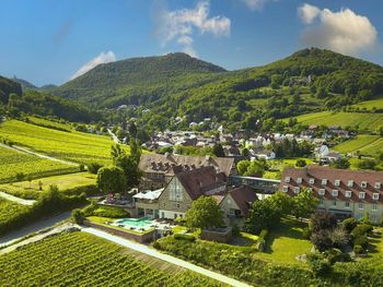 Pfälzer Weinbergsromantik-Zeit zum verlieben HP|5Tg.