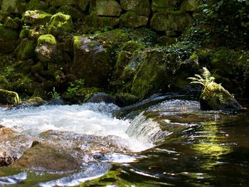 4 Tage und 3 Nächte - Schwarzwald tanken