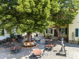 Romantik im Weingut: 