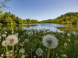 3 Tage Harz-Schnäppchen inkl. Halbpension plus