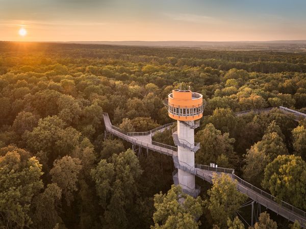 4 Tage Natur pur mit Ausflug zum Nationalpark Hainich in Bad Langensalza, Thüringen inkl. Halbpension