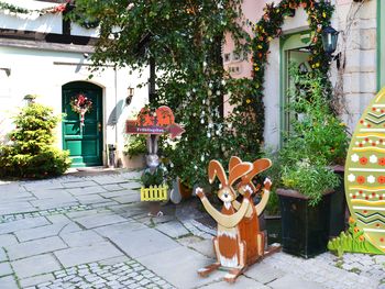 Auszeit in der Weihnachtserlebniswelt ÜF 3 Nächte