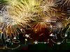 Silvester in der Rhön - Urlaub für die Seele