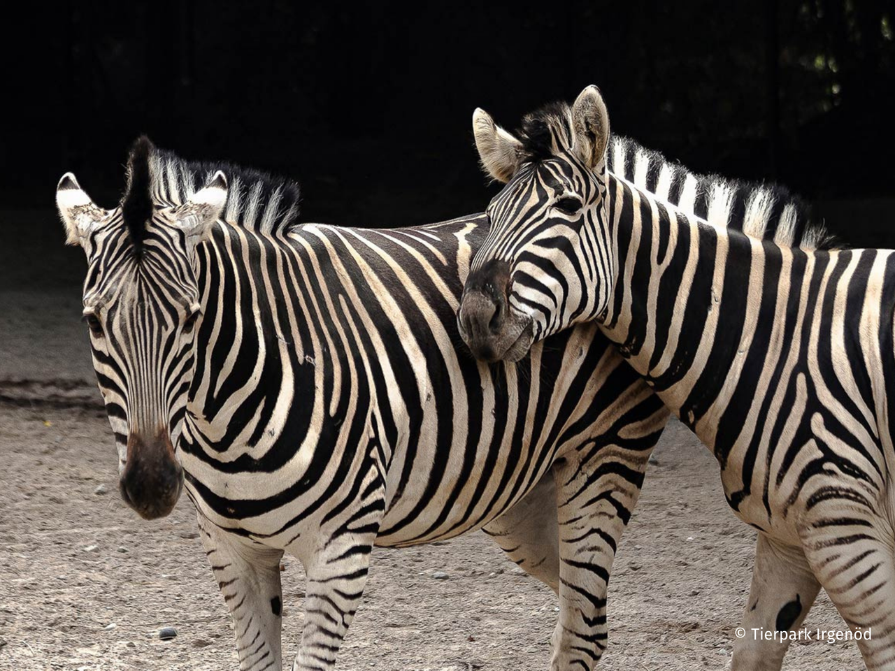 Tierpark Irgenöd