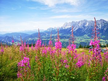 4 Tage Tiroler Familien-Wellnessabenteuer im Schloss