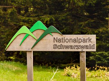 Tapetenwechsel Schwarzwald-Einfach was anderes sehen
