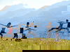 4 Tage Wellness in den Bergen in St. Anton