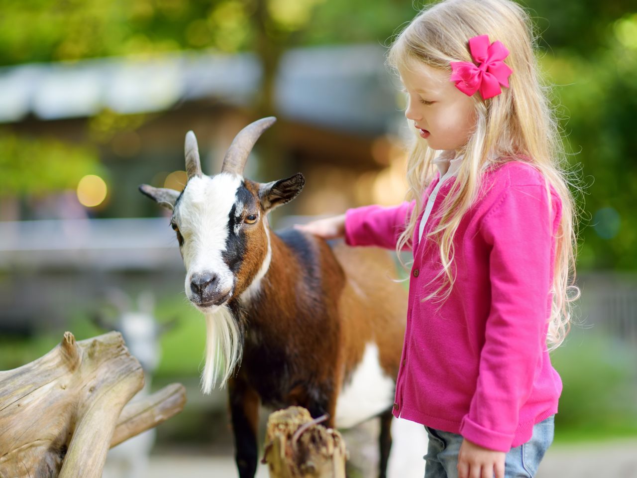 Tierische Erlebnisse im Zoo Vivarium - 3 Tage