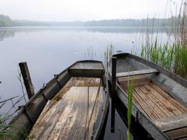 3 Tage Waldhotel in Brabant – Ruhe & Natur erleben in Oisterwijk,  inkl. Halbpension