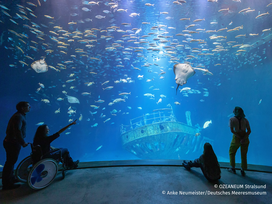 OZEANEUM Stralsund mit Ticket und Hotel