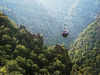 Erholung pur im Harz I 7 Tage Kurzurlaub