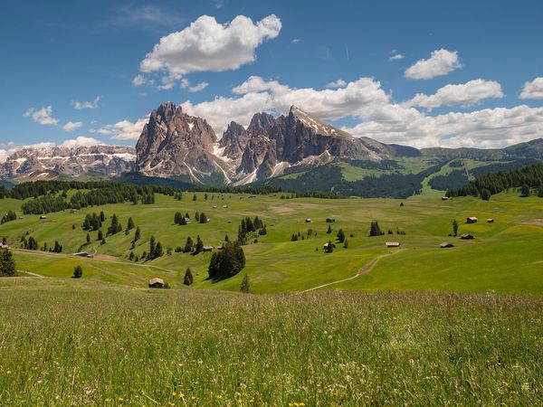 7 Tage Südtirol: 1 Woche purer Genuss mit Halbpension in Völs am Schlern, Trentino-Südtirol inkl. Halbpension Plus