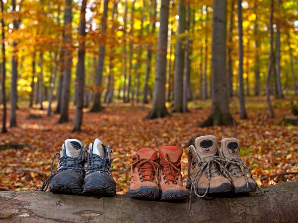 Auf Schusters Rappen – Wanderurlaub im Fläming & HP+ in Niemegk Halbpension Plus