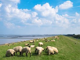 8 Tage Nordseeluft schnuppern