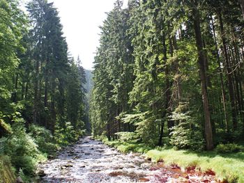 Fit und Sexy - 5 Tage im Erzgebirge