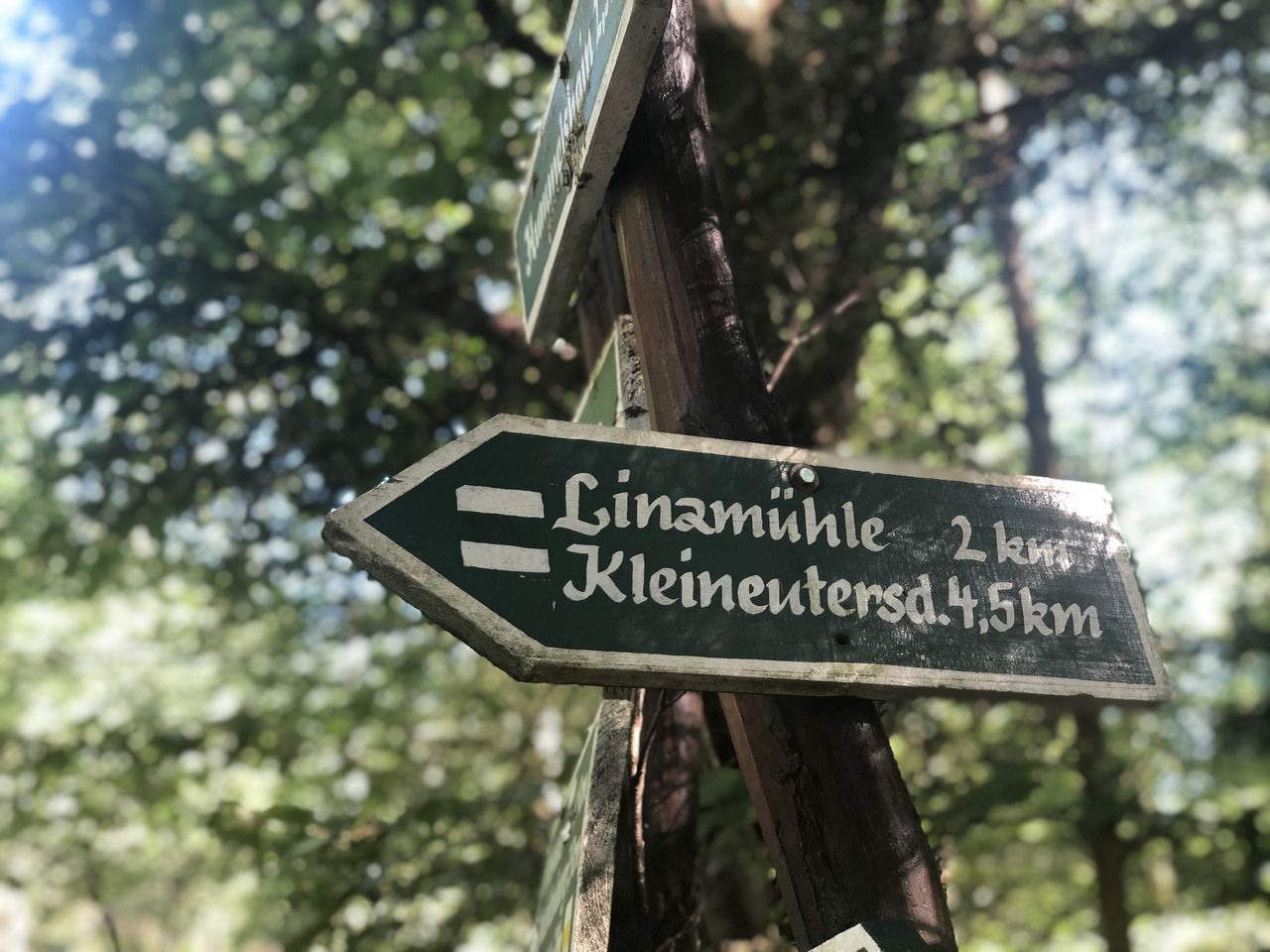 Kuschelzeit im Wald