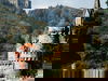Goldener Herbst in Kassel