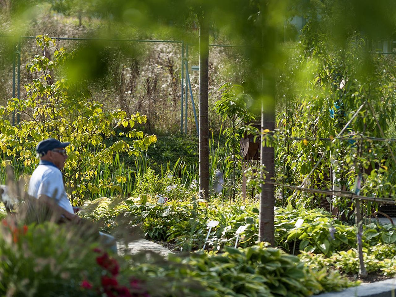 2 Tage Natur genießen mit der Landesgartenschau 2024