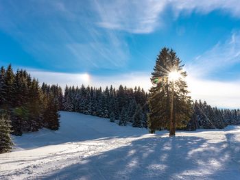 Wander-Verwöhn-Tage - 3 Tage Rennsteig