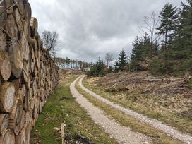 5 Tage Naturerlebnis Teutoburger Wald mit HP