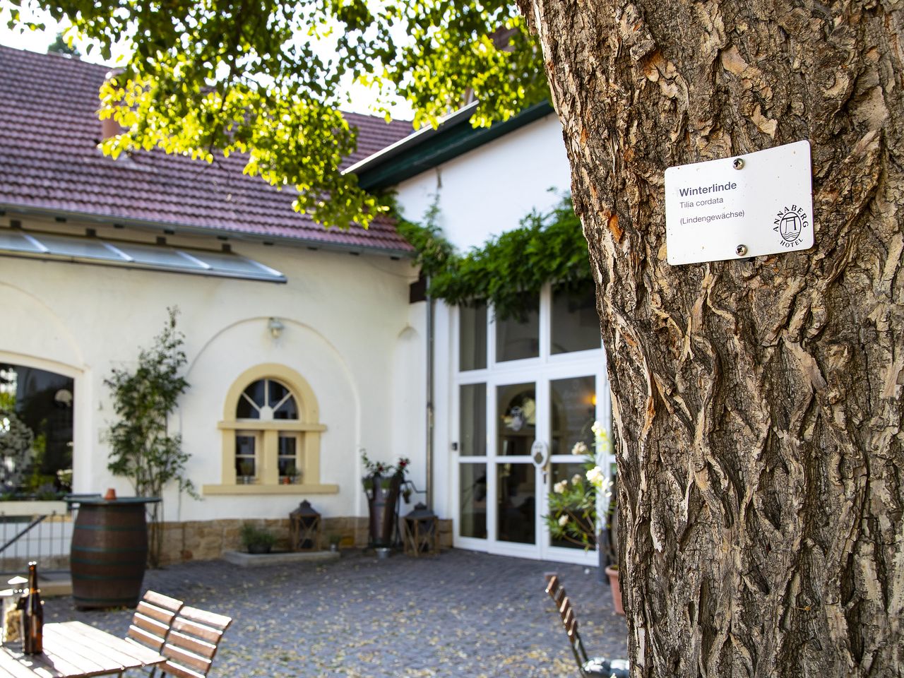 Romantik im Weingut - unser 