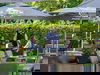 2 Tage im Mercure Hotel Köln West mit Frühstück