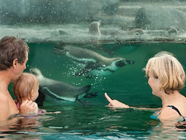 5 Familientage mit tierischem Abenteuer in Neuhausen/Spree Halbpension Plus