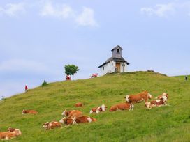 4 Tage Sommer & Sonne in den Tiroler Bergen