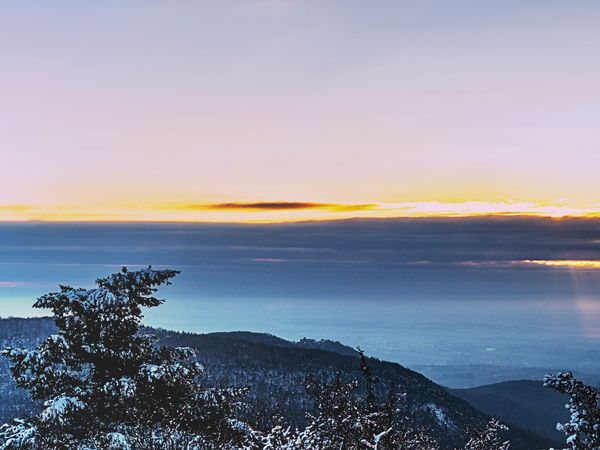 5 Tage Weihnachten in der Südpfalz mit Private Sauna in Herxheim OT Hayna, Rheinland-Pfalz inkl. Halbpension