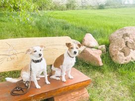 Wander-Auszeit mit Hund / 4 Tage