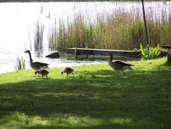 7 Tage - Spreewald TUT GUT