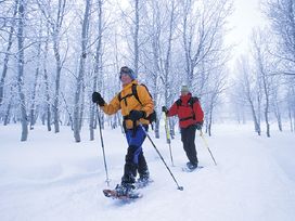 5 Tage Aktiv & Wellness in Tirol (Halbpension)