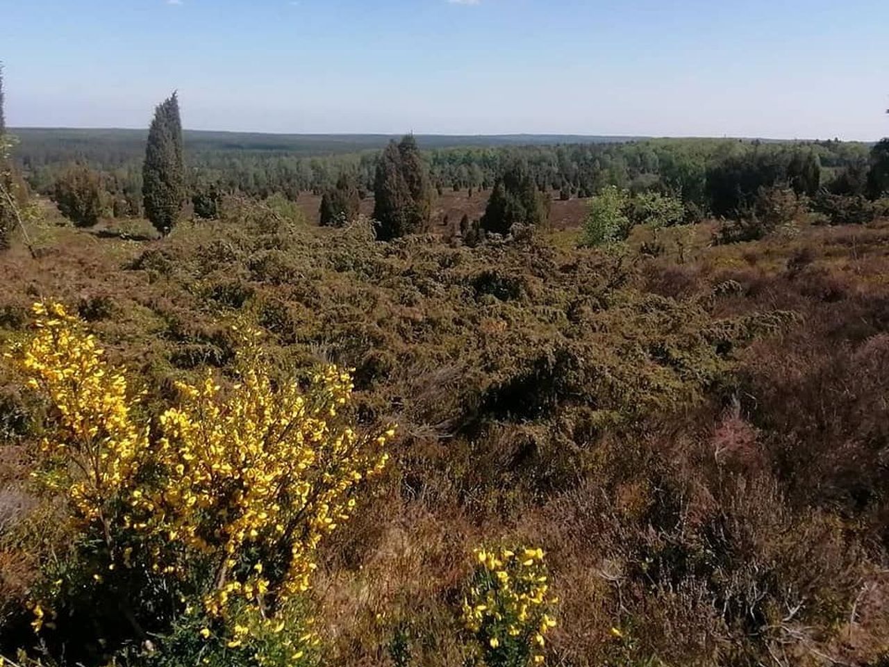 Winterurlaub in der Heide