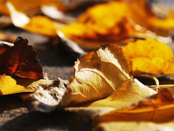 2 Tage Herbstzauber in Oberhof, Thüringen inkl. Halbpension