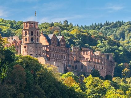 Schlösser in Heidelberg und Schwetzingen - 2 Tage