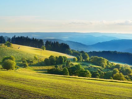 Willkommen im Strudengau! 5 Nächte Urlaub mit HP im Landgasthof Schiefer Zur Zugbrücke