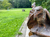 3 Tage Winterurlaub im Harz