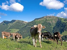 5-Sterne Beste Freundinnen Auszeit im Allgäu: 4 Tage Luxury Time