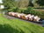 5 Tage Familienzeit im Spreewald