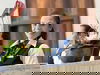 Erholung pur - 3 Tage am Titisee mit HP