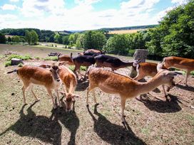 5 Tage Weihnachtsurlaub im Panorama Ferien Hotel Harz
